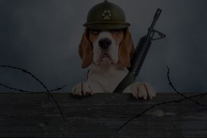 Новости - Охранная группа "ОберегЪ"